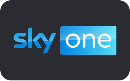 logo_skyone